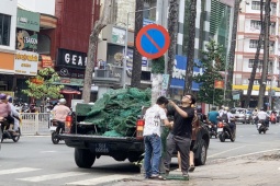 Tin tức trong ngày - Hàng trăm trụ điện được “cởi áo giáp” sau nhiều năm quấn “cỏ” để chống rao vặt