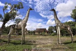 Tin tức trong ngày - Cảnh nhếch nhác tại khu sinh thái hàng chục tỷ đồng ven sông Nghèn