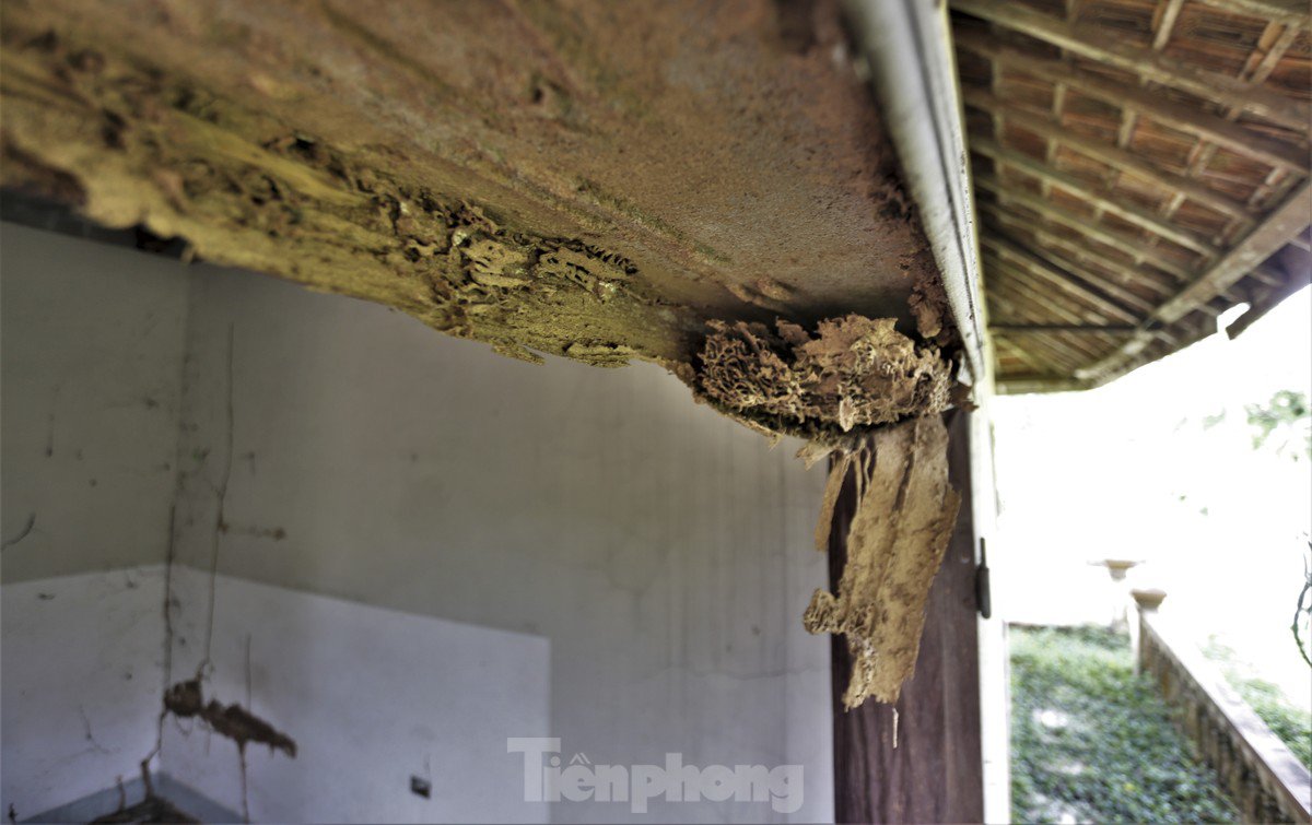 Lãnh đạo UBND thị trấn Nghèn cho biết khu du lịch từng là điểm nhấn của huyện song lâu nay trở nên nhếch nhác do dự án bỏ hoang. Địa phương từng nhiều lần kiến nghị cấp trên sớm tiếp tục dự án hoặc thu hồi, kêu gọi nhà đầu tư khác phát triển vị thế vốn có.