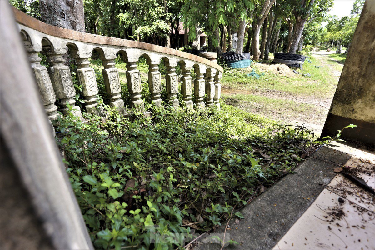 Cỏ dại um tùm xung quanh các công trình của dự án