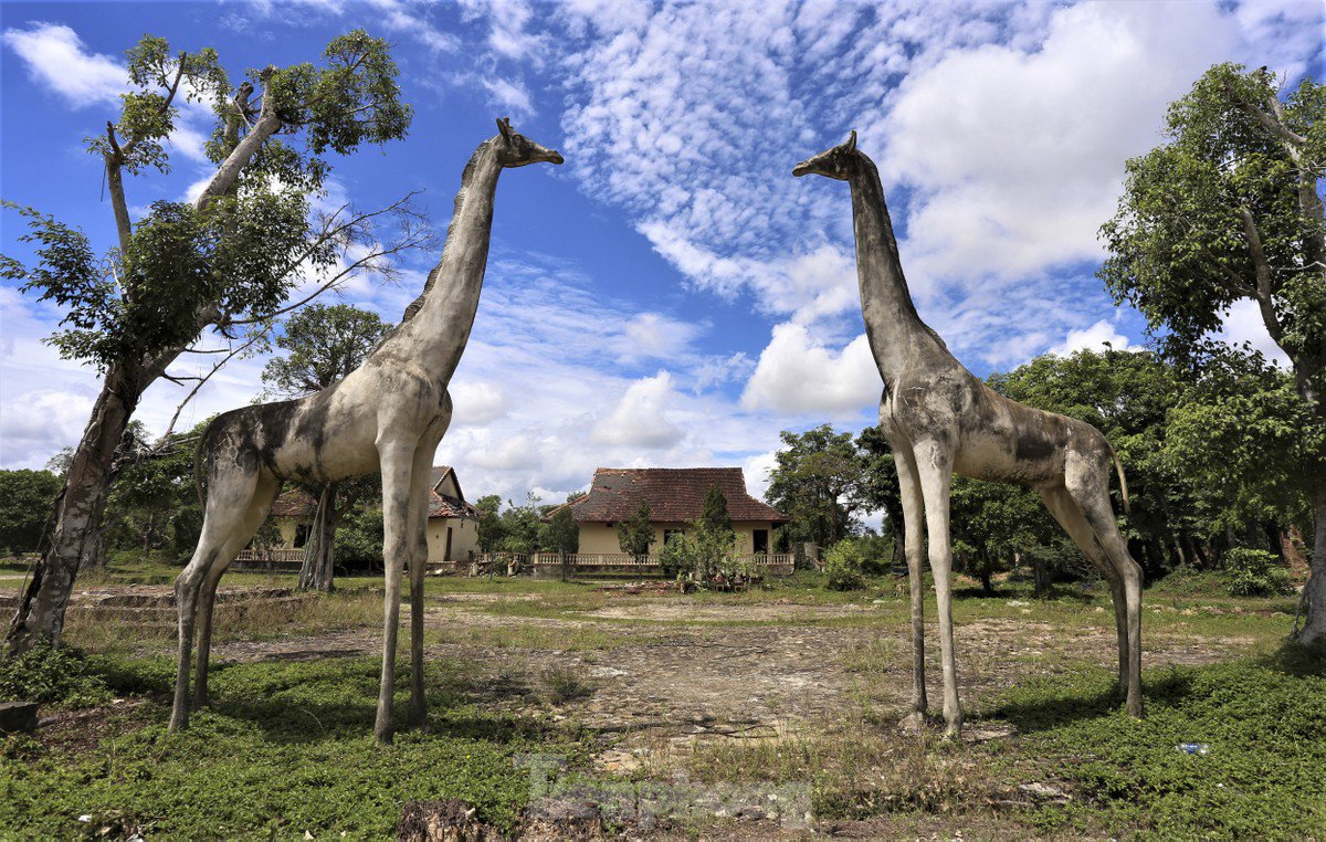 Khu công viên, vui chơi thiếu nhi hoang tàn.