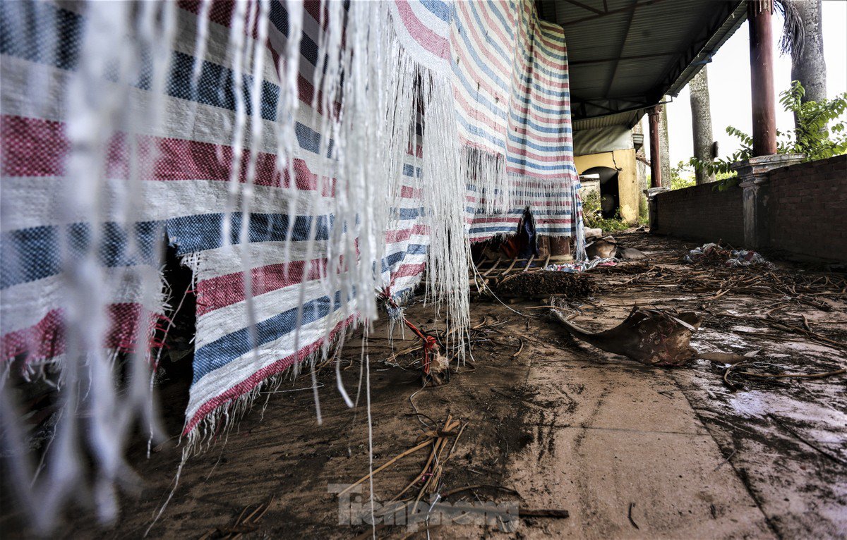 Tuy nhiên, đến năm 2015, dự án bị ngưng trệ do làm ăn thua lỗ, phải tạm ngừng hoạt động. 8 năm qua, dự án trở thành bãi trồng cây cảnh, các hạng mục không còn sử dụng xuống cấp. Trong hình là khu nhà hàng tổ chức tiệc cưới rộng cả nghìn m2 nhếch nhác.