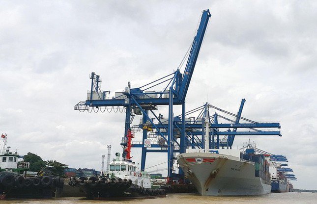 Công ty CP Cảng Cát Lái sẽ chi hơn 125 tỷ đồng cho đợt trả cổ tức này.