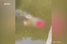 Cầu thủ bóng đá bị cá sấu nuốt chửng khi tắm sông