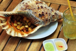 Thị trường - Tiêu dùng - Loài ốc "khủng" có con nặng tới 6kg, ở Việt Nam bán tiền triệu dân nhậu cực mê