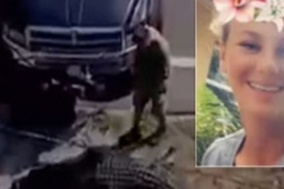 Thế giới - Mỹ giết cá sấu ngậm thi thể người phụ nữ