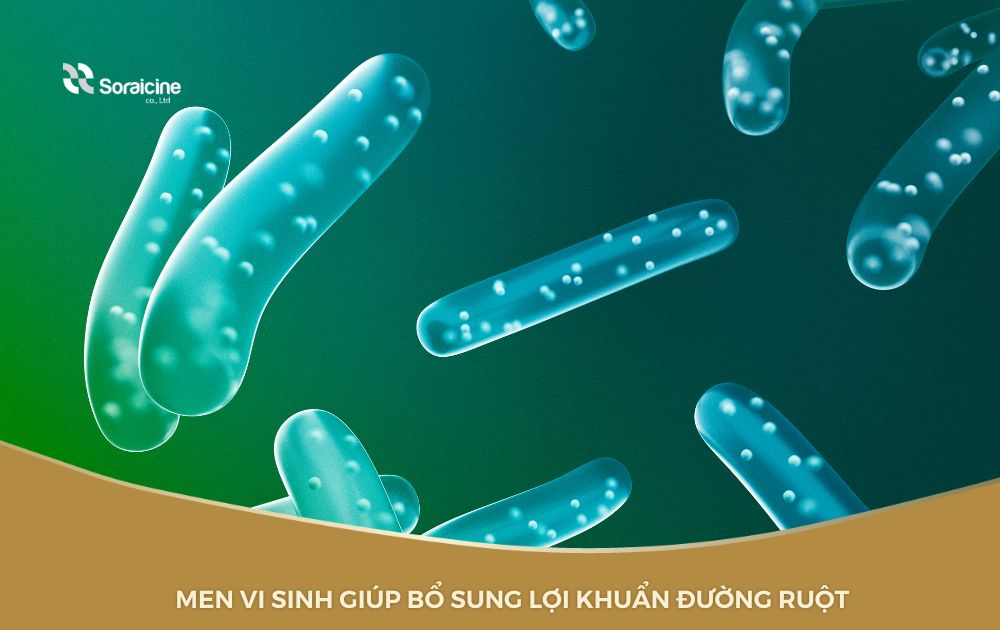 Review Kaichou 1500mg - Liệu pháp men vi sinh bất hoạt với 500 tỷ lợi khuẩn EC-12 cho trẻ nhỏ và người lớn - 2