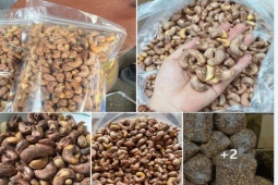 Thị trường - Tiêu dùng - Hạt điều giá rẻ chỉ 79.000 đồng/kg, dân buôn tiết lộ lý do