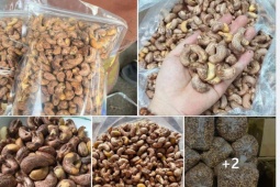 Thị trường - Tiêu dùng - Hạt điều giá rẻ chỉ 79.000 đồng/kg, dân buôn tiết lộ lý do