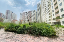 Kinh doanh - Giá nhà tại Hà Nội tăng chóng mặt trong khi thu nhập tăng "rùa bò", bất ngờ với số căn hộ có giá dưới 25 triệu/m2