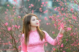 Tin tức trong ngày - Thông tin mới nhất về lịch nghỉ Tết Nguyên đán Giáp Thìn 2024