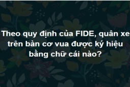 Giáo dục - du học - Tỉ phú tri thức mới trả lời đúng hết bộ 15 câu hỏi này