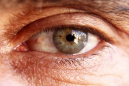 Sức khỏe đời sống - Người đàn ông 35 tuổi đột nhiên bị mất thị lực, bác sĩ tìm ra 1 thói quen gây thảm họa