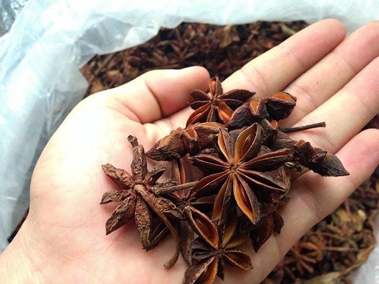 Thông thường một cây đại hồi có tuổi đời từ 5 năm trở lên mới được lấy quả, mỗi năm cũng chỉ được thu hoạch 2 vụ nên đây được xem là mặt hàng thuộc dạng “quý hiếm”.&nbsp;
