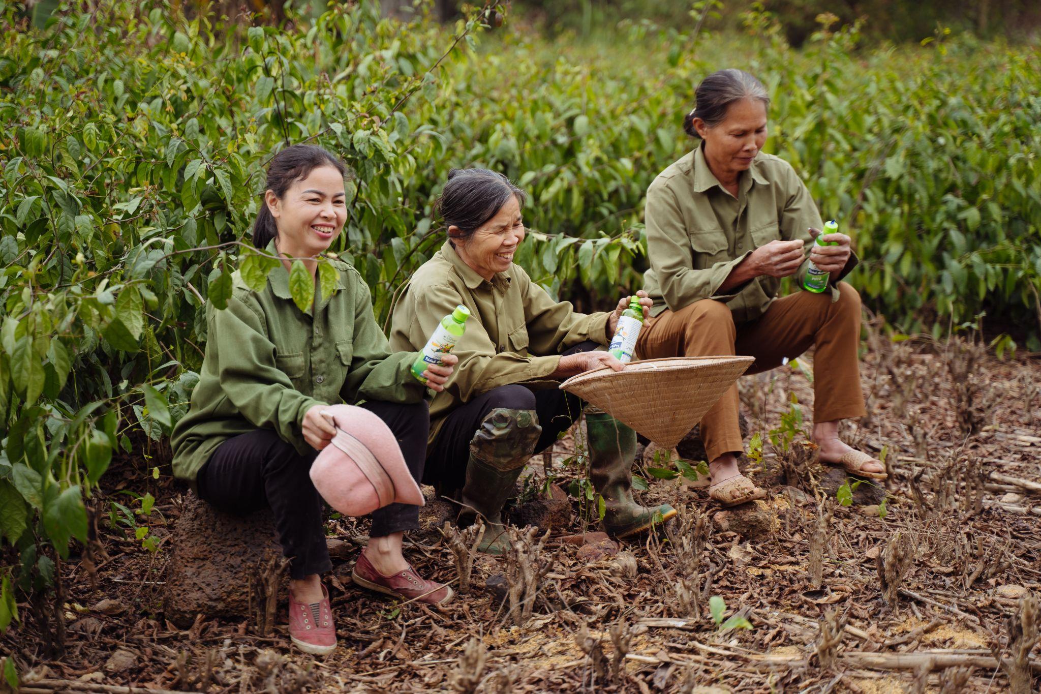 Nước kiềm Thánh Gióng trở thành thức uống quen thuộc của bà con vùng dược liệu