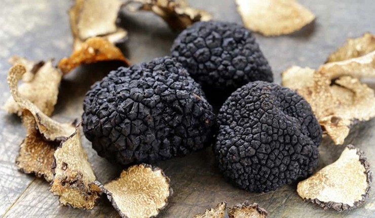 Loại nấm cục có màu đen quý hiếm có tên truffle.