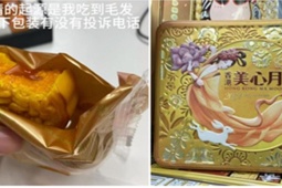 Bạn trẻ - Cuộc sống - Phát hiện công ty phát bánh Trung thu giả, cô gái phản ánh lên với bộ phận nhân sự thì nhận được cái kết bất ngờ
