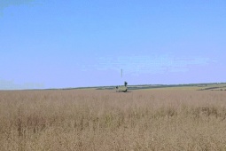 Thế giới - Video: Hệ thống Tor-M2 Nga bắn nổ UAV "sát thủ" của Mỹ