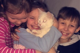 Bạn trẻ - Cuộc sống - Bà mẹ hốt hoảng khi mèo cưng “gây rối” tại trường của con