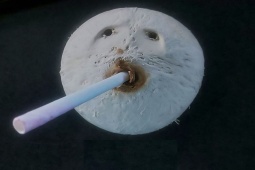 Tin vịt - Tin vịt: Nào cùng teen và teen plus tấu hài