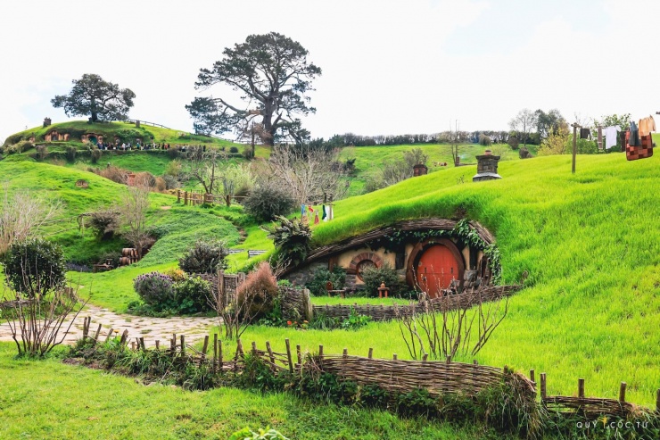 Cỏ xanh đến nỗi chỉ cần chụp ảnh thôi, không cần chỉnh sửa gì cả.