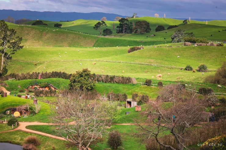 Những thảm cỏ như chạy dài đến vô tận.