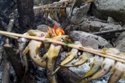Kỳ lạ loài cá quý hiếm có vị đắng, được ví như ”cá sâm”, chỉ có ở duy nhất một nơi tại Việt Nam
