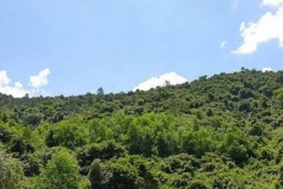 Pháp luật - Phát hiện bộ xương nghi người mất tích cách đây hơn 1 năm khi vào rừng tìm trầm