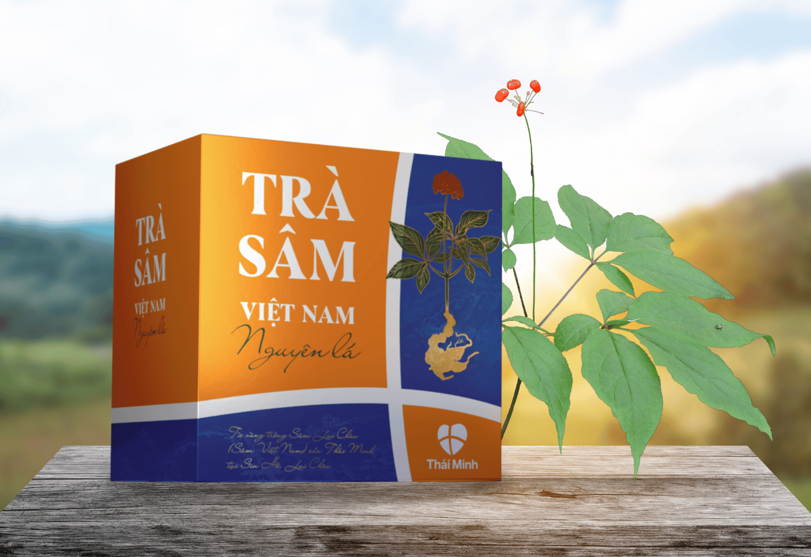 Khuyến mãi mừng sinh nhật Thái Minh: Khương Thảo Đan Gold tặng vàng 9999 - 3