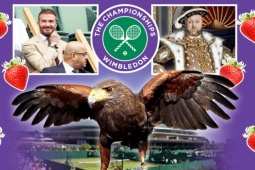 7 bí mật Wimbledon: Beckham được bảo vệ như VIP, diều hâu bay tuần tra