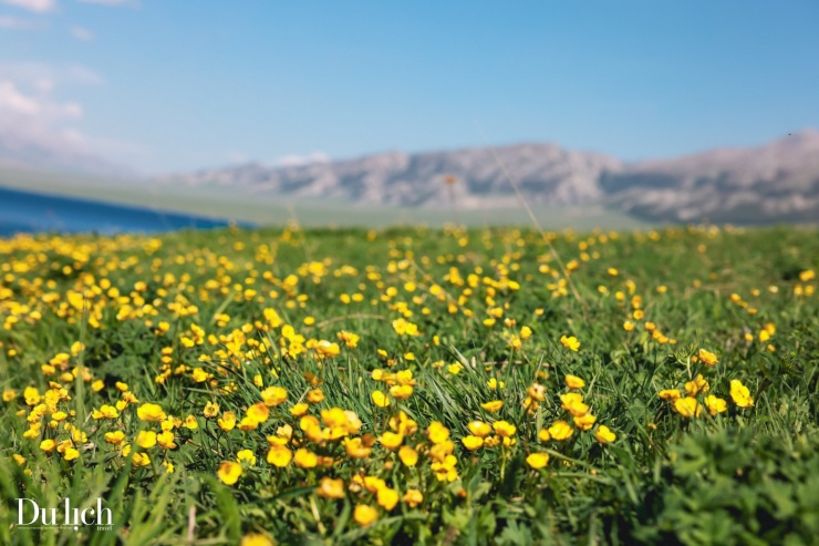 'Giọt nước mắt' cuối cùng của Đại Tây Dương - 6