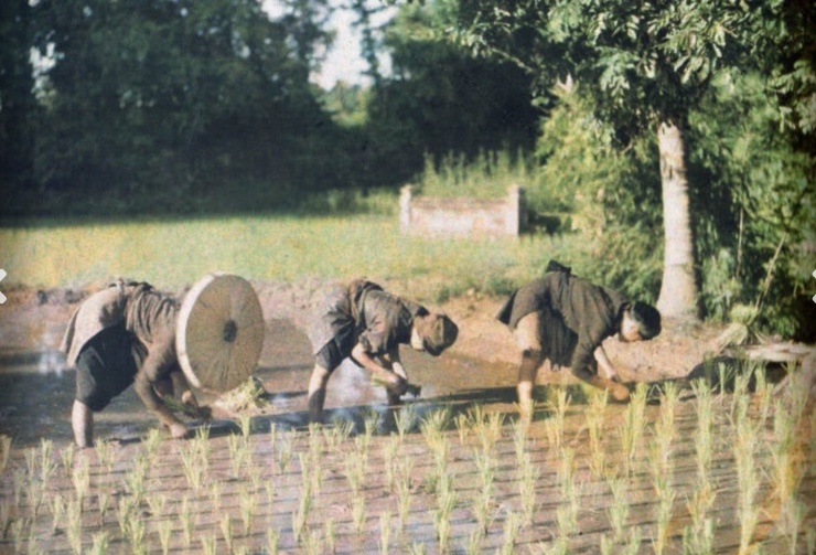 Chùm ảnh màu hiếm về Việt Nam những năm đầu thế kỷ 20 - 2