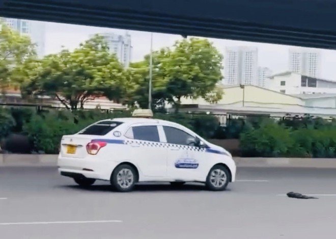 Hình ảnh xe taxi gây "náo loạn" trên đường Phạm Hùng sáng 02/7/2024 (Ảnh cắt từ clip)