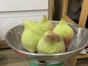 Thị trường - Tiêu dùng - Loại đào Trung Quốc vào mùa, giá lên đến 150.000 đồng/kg vẫn hút khách