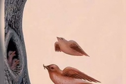 Bạn trẻ - Cuộc sống - Hình ảnh nhìn thấy đầu tiên sẽ tiết lộ khát khao sâu thẳm nhất trong bạn