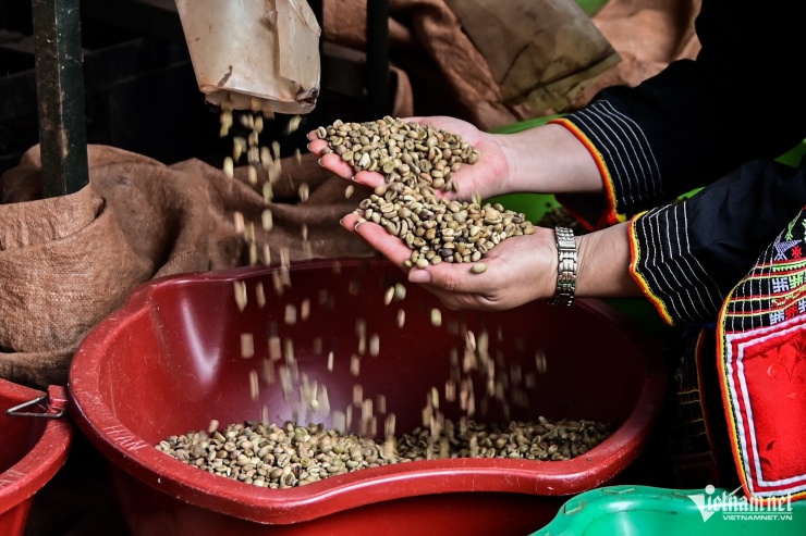 Trong nửa đầu năm nay, giá cà phê và hạt tiêu đua lập đỉnh lịch sử. Ảnh: Nguyễn Huế