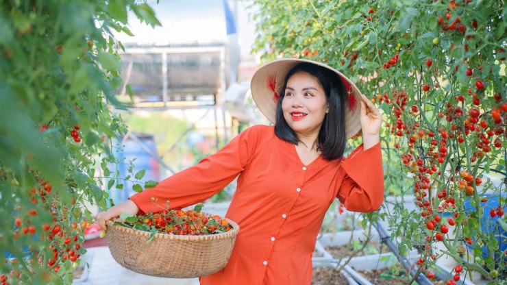 Chị Hồng Thanh làm vườn trên sân thượng từ năm 2020