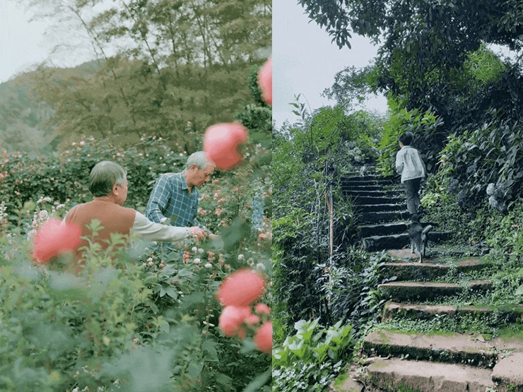 Những hình ảnh tuyệt đẹp ở không gian chữa lành &#34;to đùng&#34; của ông nội Trần khiến nhiều người ao ước có một nơi để nghỉ ngơi, an dưỡng đẹp như vậy.
