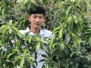 Kinh doanh - “Bắt” loại cây quen thuộc ra quả nghịch vụ, 8x Thanh Hoá thu về 2 tỷ đồng/năm