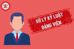 Tin tức trong ngày - Vi phạm nồng độ cồn nhưng không báo cáo, Phó Chi cục trưởng Thi hành án bị khiển trách