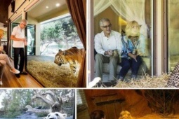 Du lịch - Kỳ lạ dịch vụ ở chung với hổ, báo, sư tử