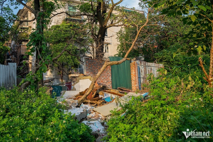 Khu Công viên - hồ điều hòa 1.600 tỷ đồng ngày càng hóa &#39;rừng&#39; giữa Thủ đô - 9