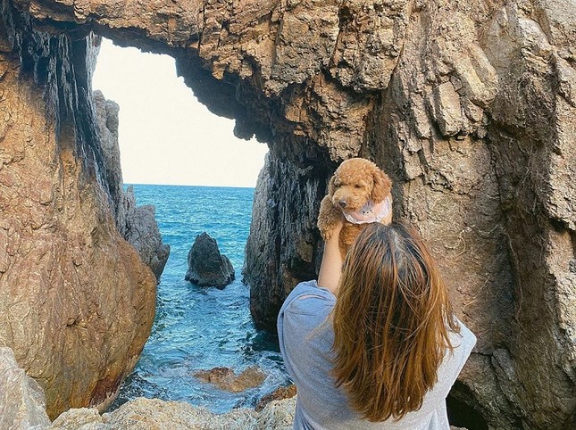 Nhiều du khách đến đây, đặc biệt là các bạn trẻ rất thích thú với background chụp hình độc lạ, đẹp mắt này. Du khách tha hồ tạo dáng, chụp hình, săn ảnh đẹp “triệu like”. Ảnh: luhanhvietnam.