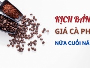 Thị trường - Tiêu dùng - Kịch bản giá cà phê nửa cuối năm 2024