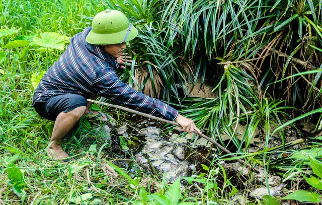 Nước suối đổi màu đen ngòm, bốc mùi hôi cạnh trại heo công nghệ cao: Cơ quan chức năng vào cuộc điều tra