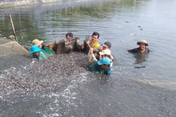 Thị trường - Tiêu dùng - 2 loài cá suýt tuyệt chủng ở Việt Nam, giờ dân nuôi được lãi hàng trăm triệu