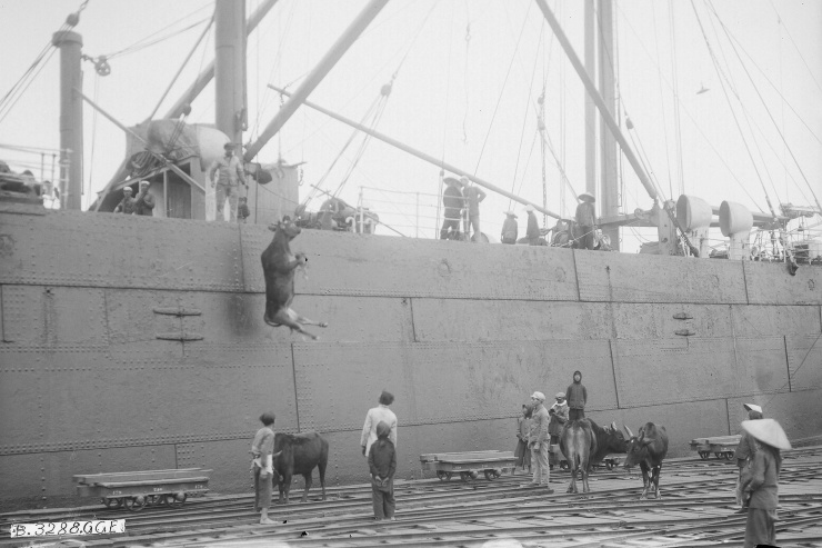 Cảng Hải Phòng 150 năm trước - 14