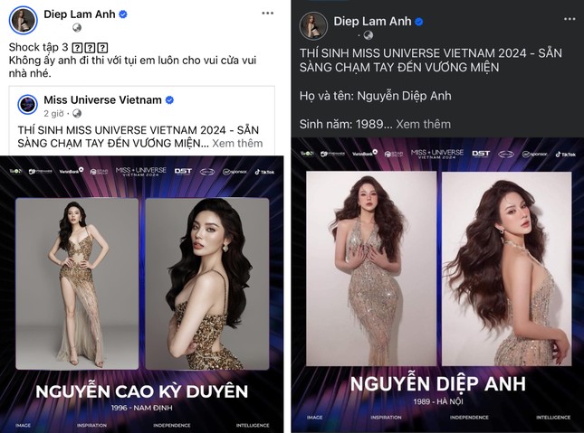 Diệp Lâm Anh đầu tư hẳn bức ảnh nhập cuộc Miss Universe Vietnam.