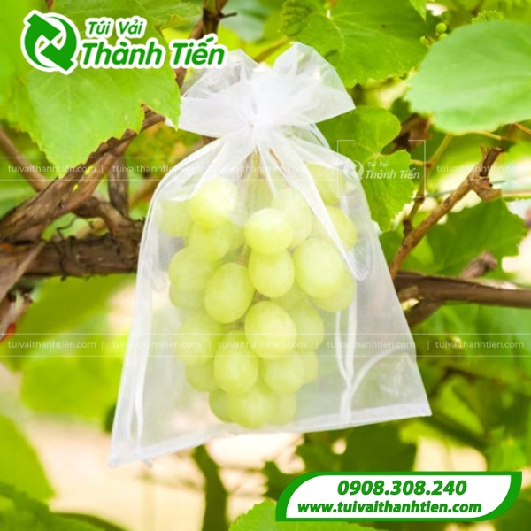 Xưởng may & in túi vải không dệt giá rẻ tại TP.HCM & Hà Nội - 5