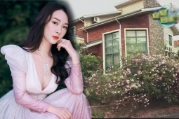 Đời sống Showbiz - Biệt thự được ví như cung điện, nuôi cả chim công của Hoắc Tư Yến